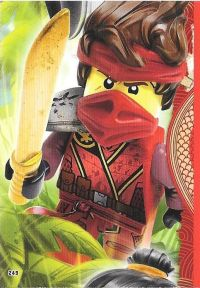 NINJAGO Trading Card Game (German) Series 6 - # 249 Puzzle Piece