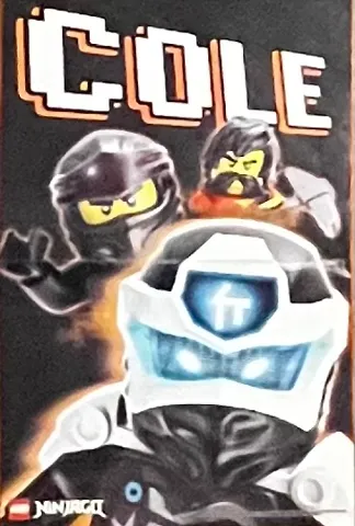 NINJAGO Poster 2020 - Cole