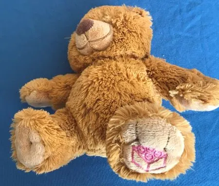 Teddy Bear Plush - Pink Brick on Foot