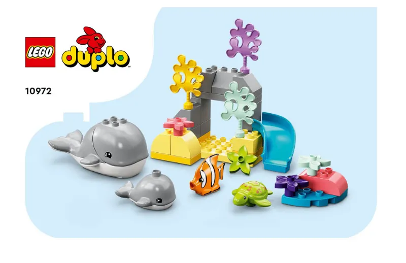 Wild Animals of the Ocean