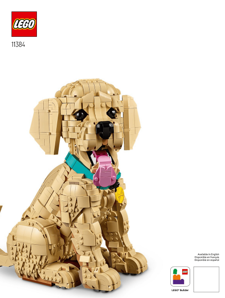 Golden Retriever Puppy