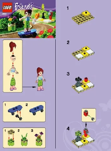 Skate Boarder polybag