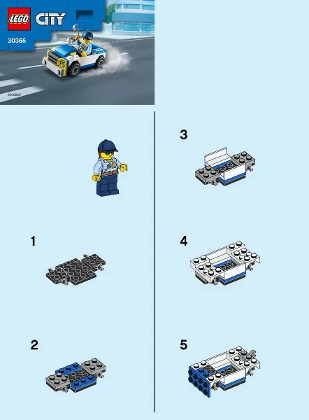 Police Car polybag