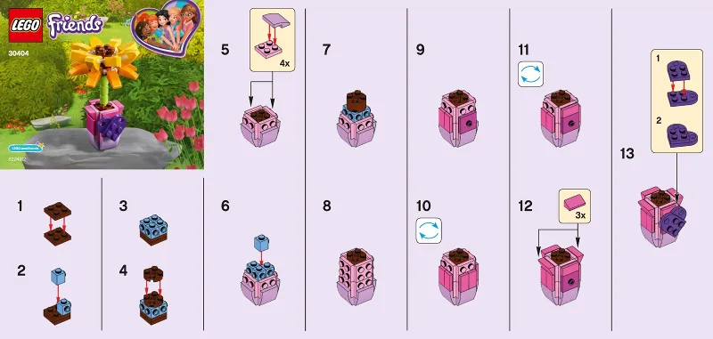 Friendship Flower / Sunflower polybag