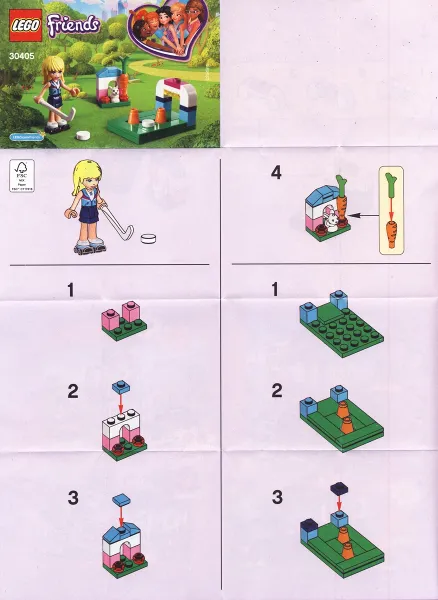 Stephanie's Hockey Practice polybag