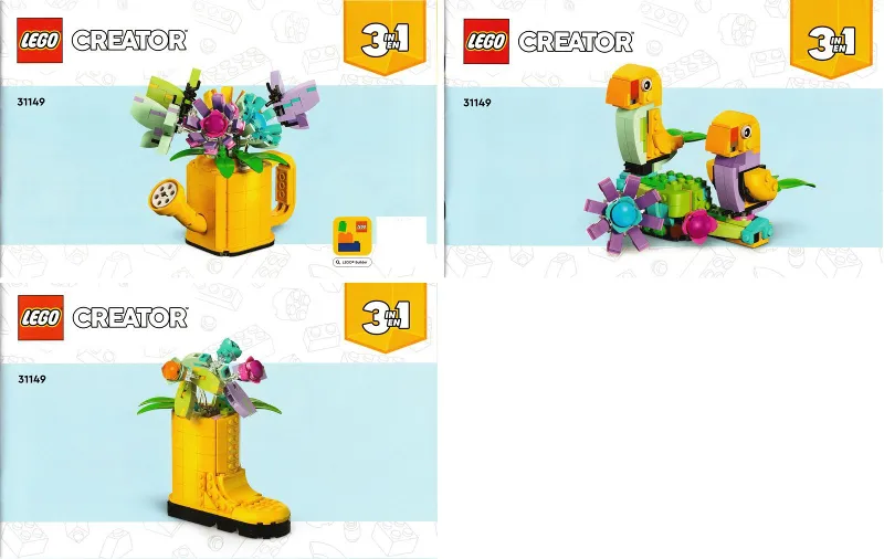 Flowers in Watering Can