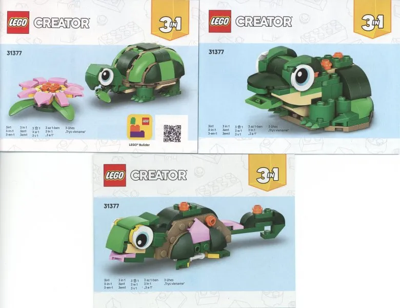 Turtle with a Water Lily