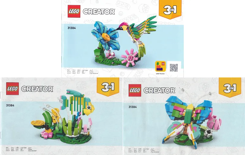 Colorful Hummingbird