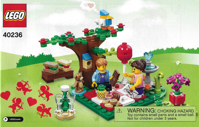 Romantic Valentine Picnic