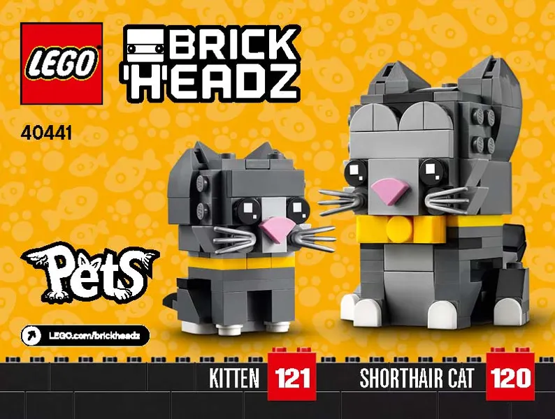 Shorthair Cat & Kitten