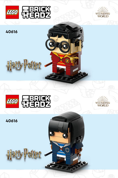 Harry Potter & Cho Chang