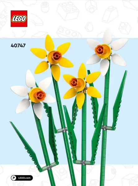 Daffodils