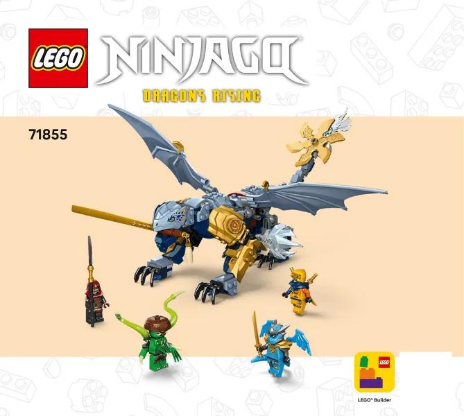 Ninja Dragon Riyu's Battle