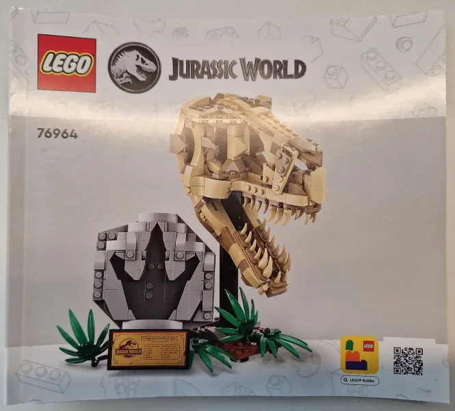 Dinosaur Fossils: T. rex Skull