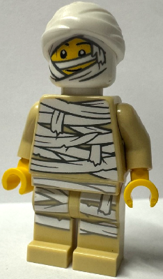 Mummy Costume Guy