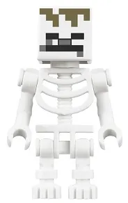 Skeleton, Minecraft Dungeons