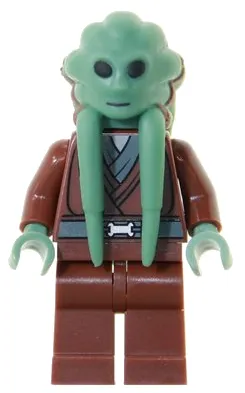 Kit Fisto