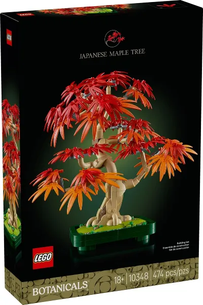 Japanese Maple Tree