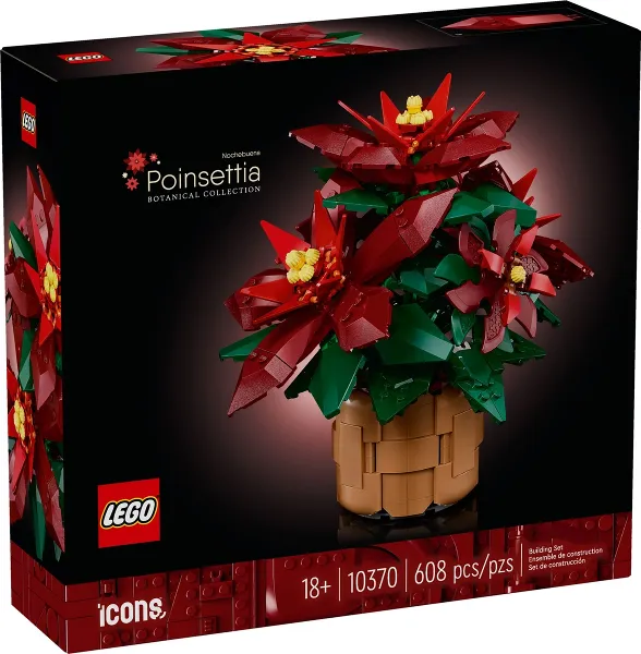 Poinsettia