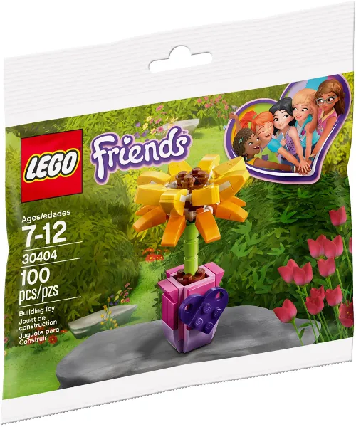 Friendship Flower / Sunflower polybag