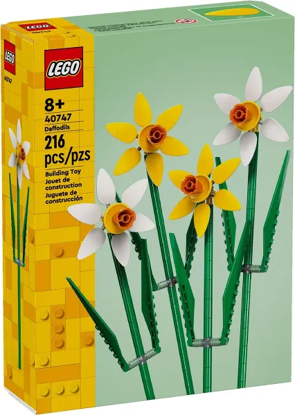 Daffodils