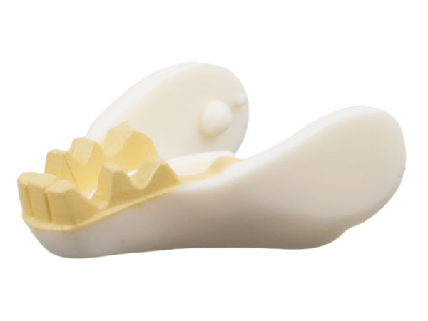 Warg Jaw Lower with Tan Teeth Pattern