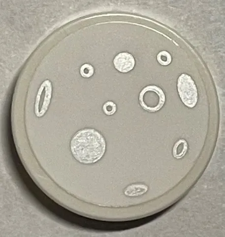 Tile, Round 2 x 2 with Bottom Stud Holder with Silver Circles and Ovals Pattern (Sticker) - Set 40484