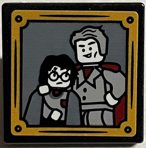 Road Sign 2 x 2 Square with Open O Clip with Gilderoy Lockhart Posing with Harry Potter and Gold Frame Pattern (Sticker) - Set 76389