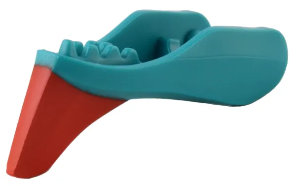 Dragon Head (Avatar Ikran) Jaw Lower with Red Crest Pattern