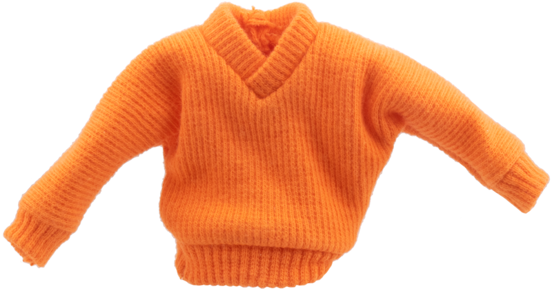 Scala, Clothes Male Sweater, V-Neck