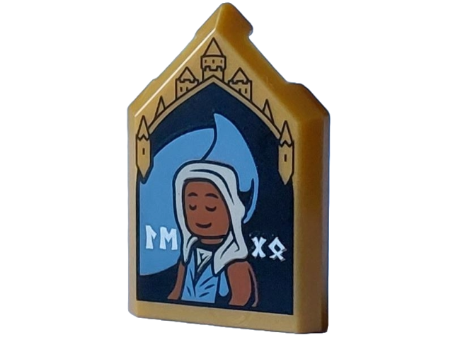 Tile, Modified 2 x 3 Pentagonal with HP Portrait - Edessa Sakndenberg Pattern