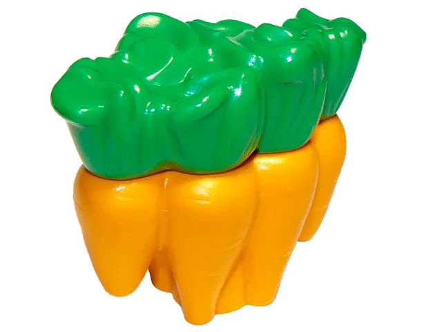 Duplo Carrots with Green Leaves Pattern
