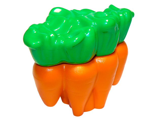 Duplo Carrots with Bright Green Leaves Pattern