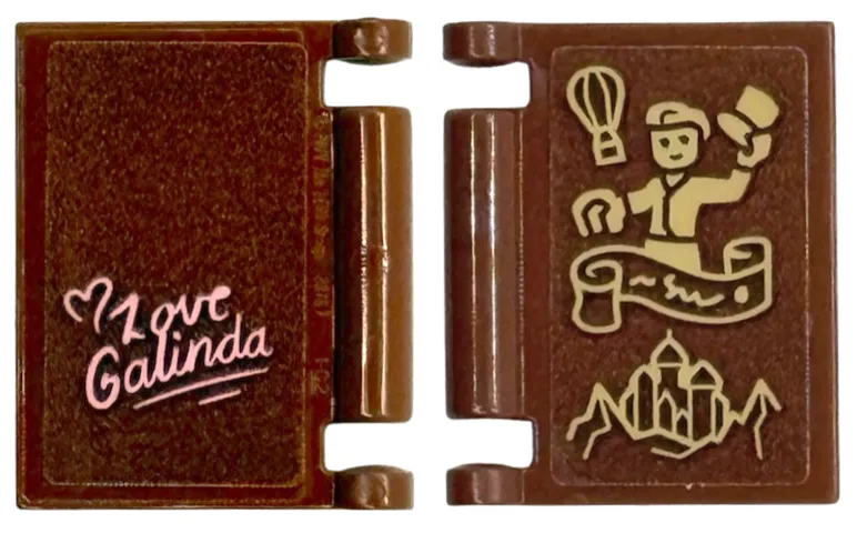 Minifigure, Utensil Book Cover with Tan Wizard, Balloon and Emerald City, Bright Pink Heart and 'Love Galinda' Pattern on Both Sides (Stickers) - Set 75687