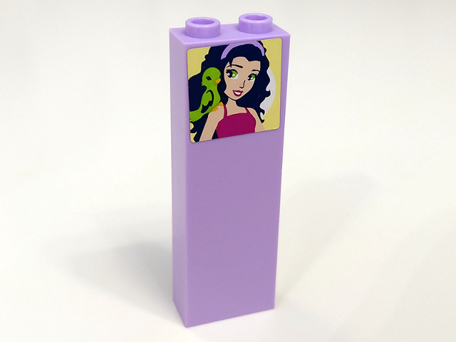 Brick 1 x 2 x 5 with Girl and Lime Parrot Pattern (Sticker) - Set 41095