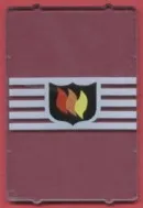 Glass for Window 1 x 4 x 5 with Fire Logo Badge on 5 White Stripes Pattern