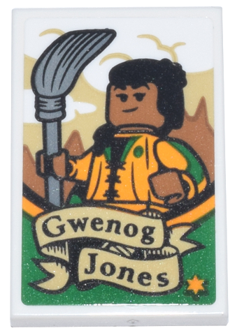 Tile 2 x 3 with Poster with Quidditch Player, Silver Broomstick, and Black 'Gwenog Jones' Pattern (Sticker) - Set 76437