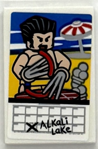 Tile 2 x 3 with Calendar Page, 'Alkali Lake' and Photo of Wolverine Minifigure at the Beach Pattern (Sticker) - Set 76294