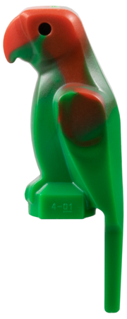 Bird, Parrot with Large Beak with Marbled Red Pattern