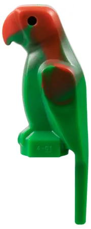 Bird, Parrot with Large Beak with Marbled Red Pattern