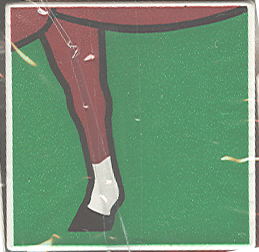 Duplo, Tile 2 x 2 x 1 with Horse Mosaic Picture 05 Pattern