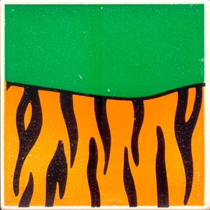 Duplo, Tile 2 x 2 x 1 with Tiger Mosaic Picture 14 Pattern