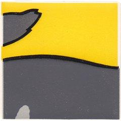 Duplo, Tile 2 x 2 x 1 with Cat Mosaic Picture 02 Pattern