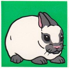 Duplo, Tile 2 x 2 x 1 with Rabbit Mosaic Picture 10 Pattern