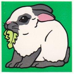 Duplo, Tile 2 x 2 x 1 with Rabbit Mosaic Picture 11 Pattern