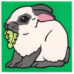 Duplo, Tile 2 x 2 x 1 with Rabbit Mosaic Picture 11 Pattern