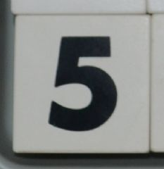 Duplo, Tile 2 x 2 x 1 with Black Number 5 Pattern