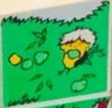 Duplo, Tile 2 x 2 x 1 with Outdoors Mosaic Picture 04 Pattern