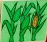 Duplo, Tile 2 x 2 x 1 with Farming Mosaic Picture 06 Pattern