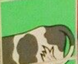 Duplo, Tile 2 x 2 x 1 with Farming Mosaic Picture 12 Pattern